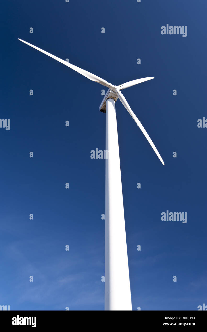 Turbina di vento Foto Stock