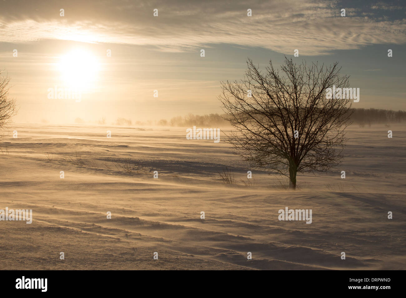 Vento persistente e lavori di soffiaggio della neve crea una massa blizzard nelle regioni rurali del Southern Ontario forzando una chiusura di alcune strade Foto Stock