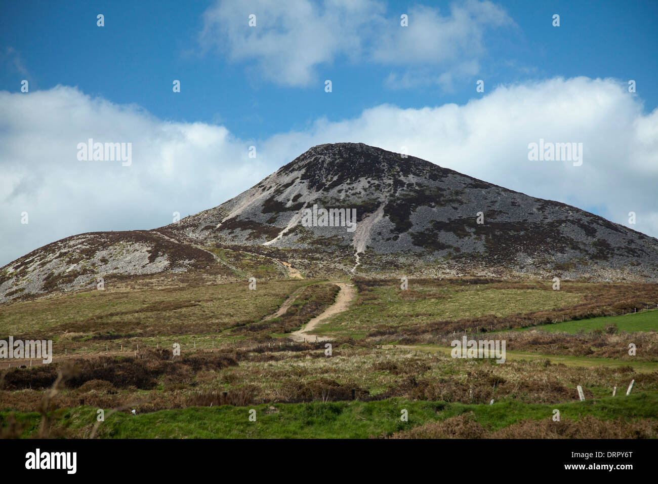 Grande Sugar Loaf (501m), Wicklow Mountains, County Wicklow, Irlanda. Foto Stock