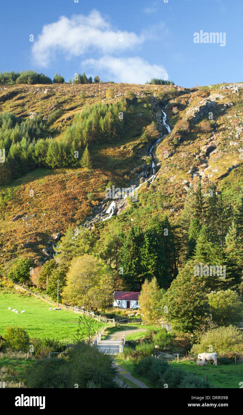 Cascata Carrawaystick aumenta al di sopra di una remota fattoria in Glenmalure, Wicklow Mountains, County Wicklow, Irlanda. Foto Stock