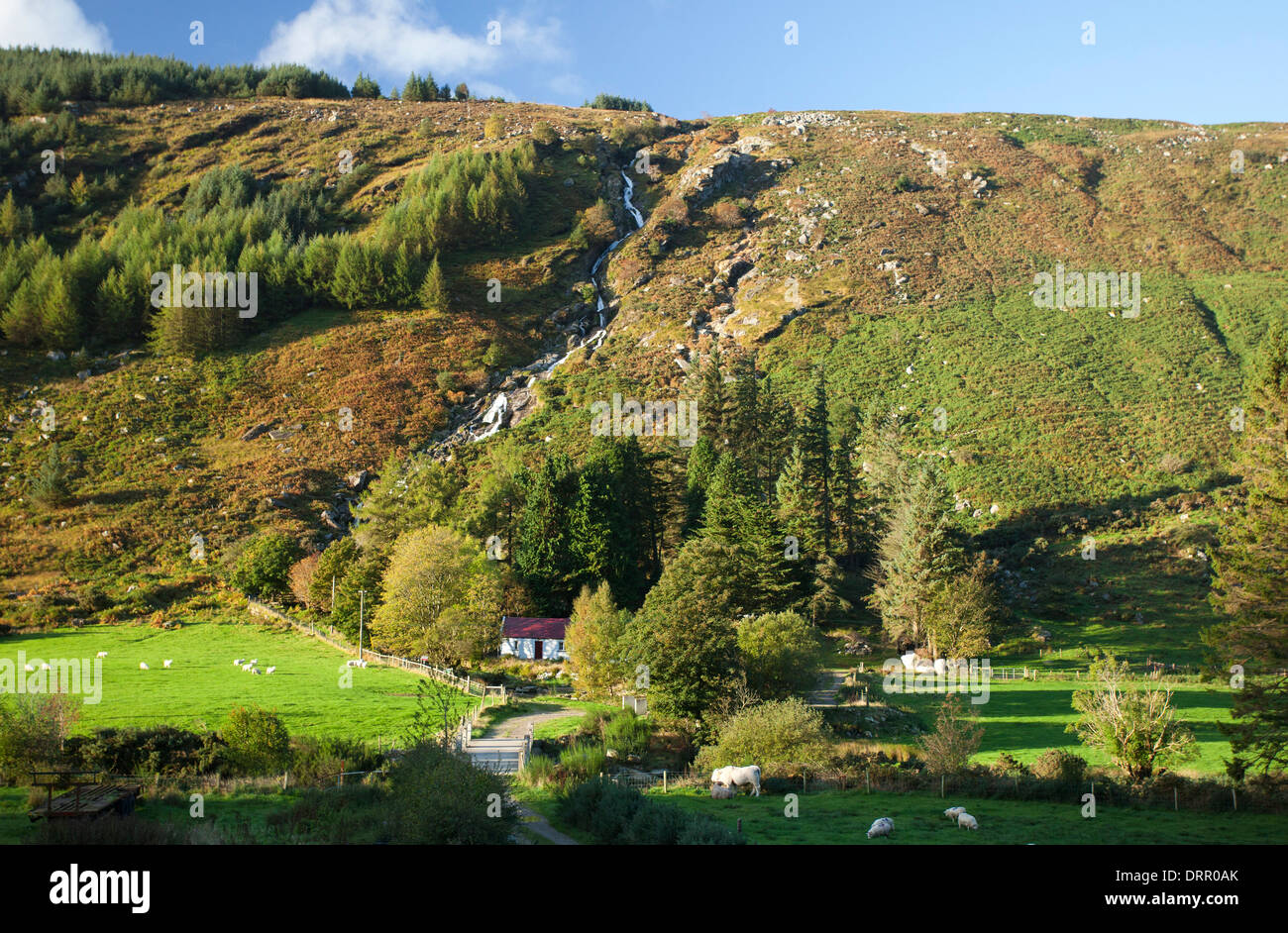 Cascata Carrawaystick aumenta al di sopra di una remota fattoria in Glenmalure, Wicklow Mountains, County Wicklow, Irlanda. Foto Stock