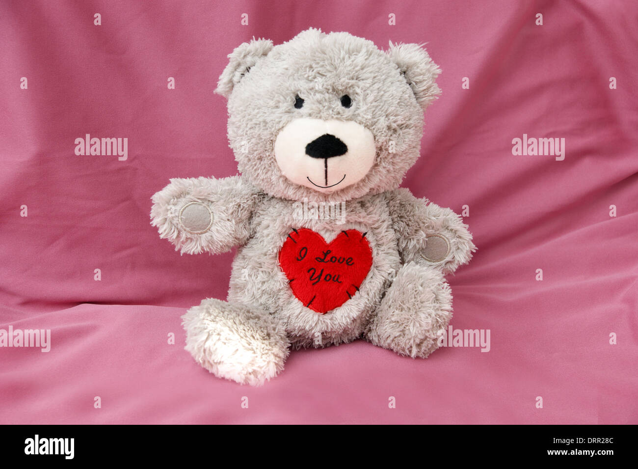 Il giorno di San Valentino orso di peluche con un cuore dire ti amo Foto  stock - Alamy