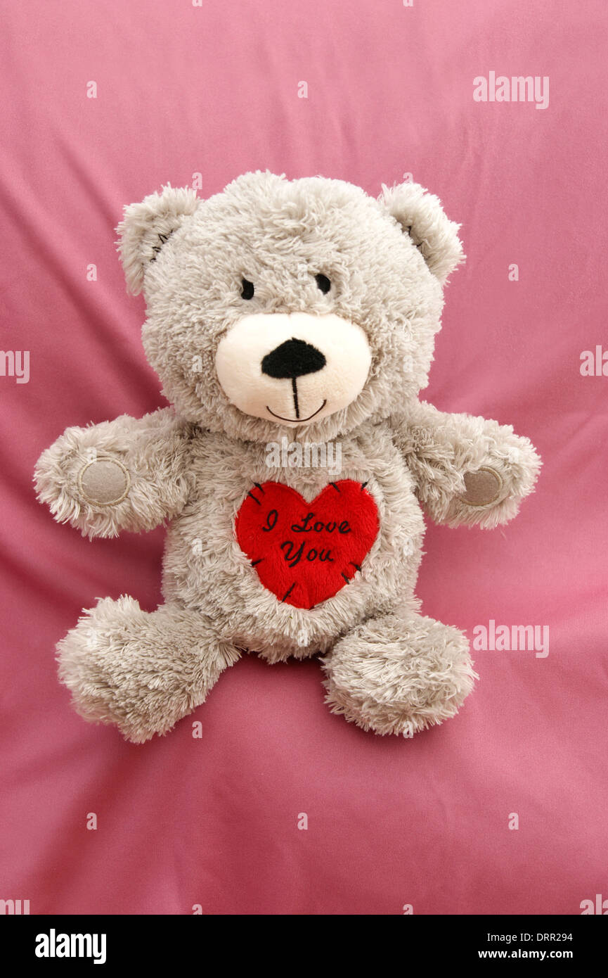 Il giorno di San Valentino orso di peluche con un cuore dire ti amo Foto  stock - Alamy
