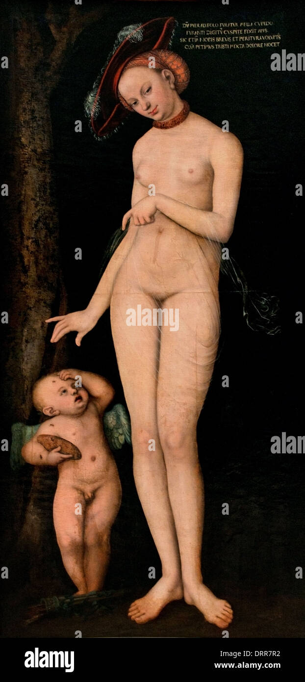 Venere e Amore il ladro di miele 1531 Lucas Cranach il Vecchio (1472-1553) tedesco Germania Foto Stock
