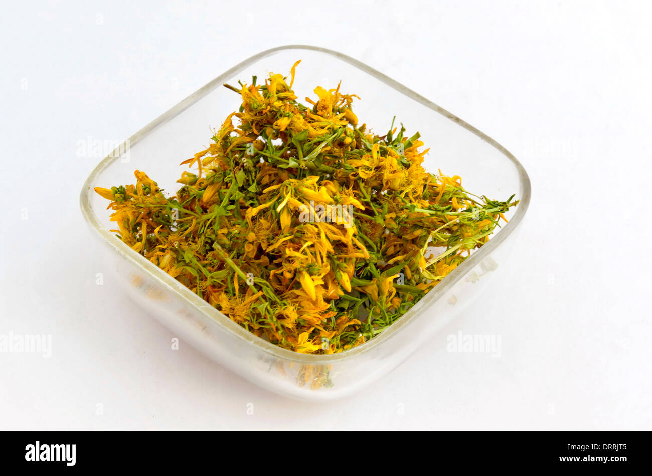 Medicative ecologico erba secca flower - tutsan sulla lastra di vetro Foto Stock