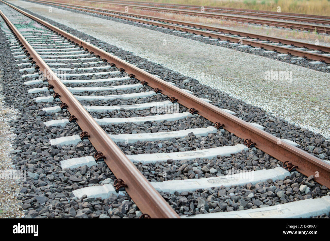 Parallelamente i binari ferroviari con treni no su di essi Foto Stock