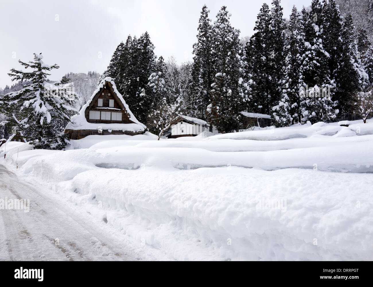 Gassho-zukuri village, Shirakawago, Toyama, Giappone Foto Stock