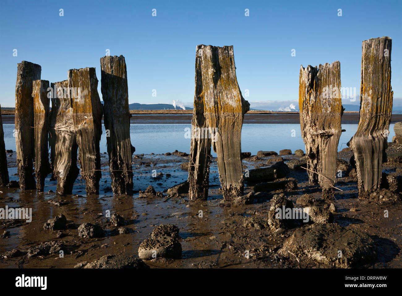 WASHINGTON - Resti di una vecchia struttura lungo le rive di Padilla Bay. Foto Stock