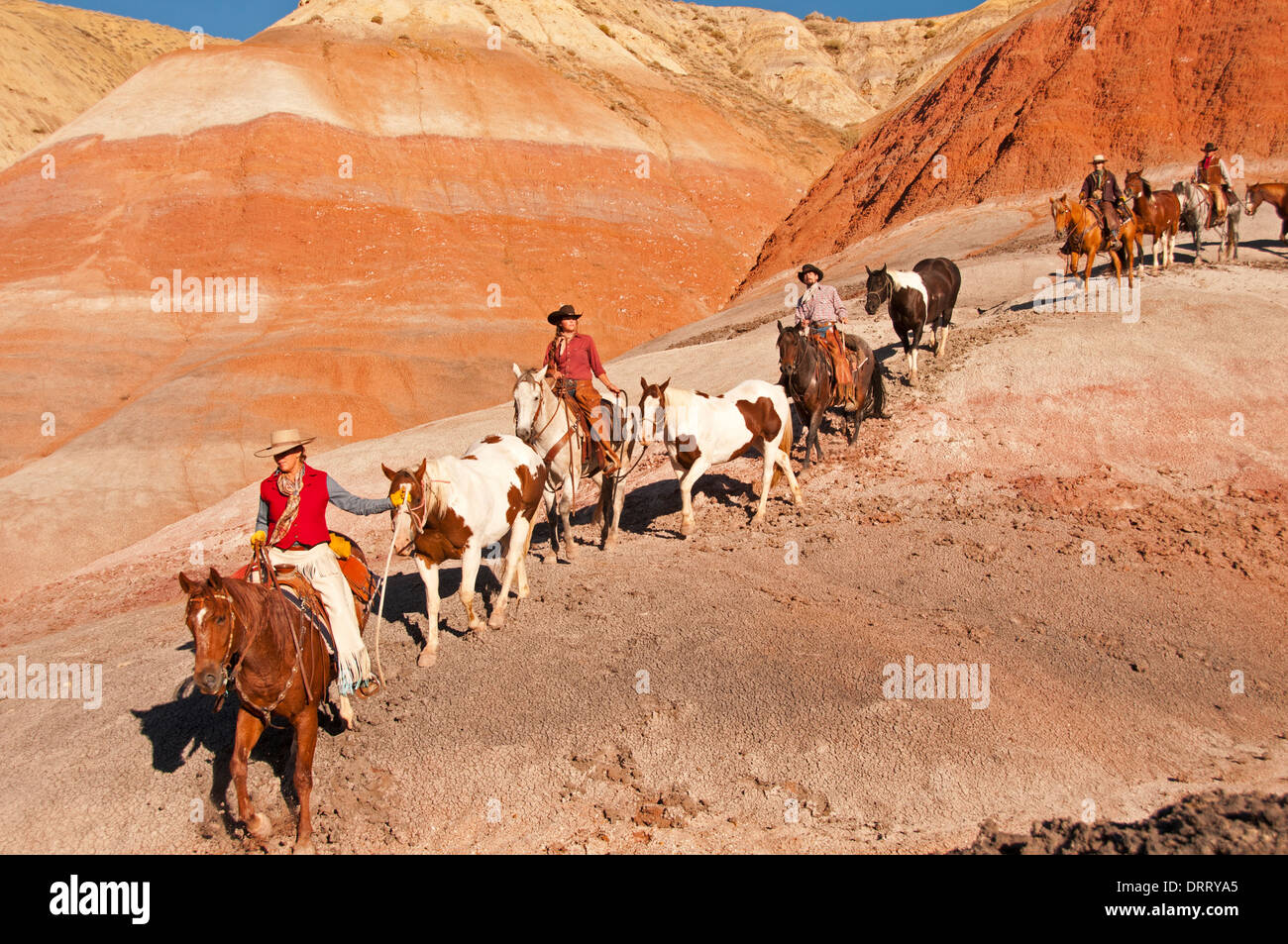 I cowboys e cowgirls -- wranglers -- lead di cavalli nelle colline dipinte area del Bighorn Mountains del Wyoming Foto Stock