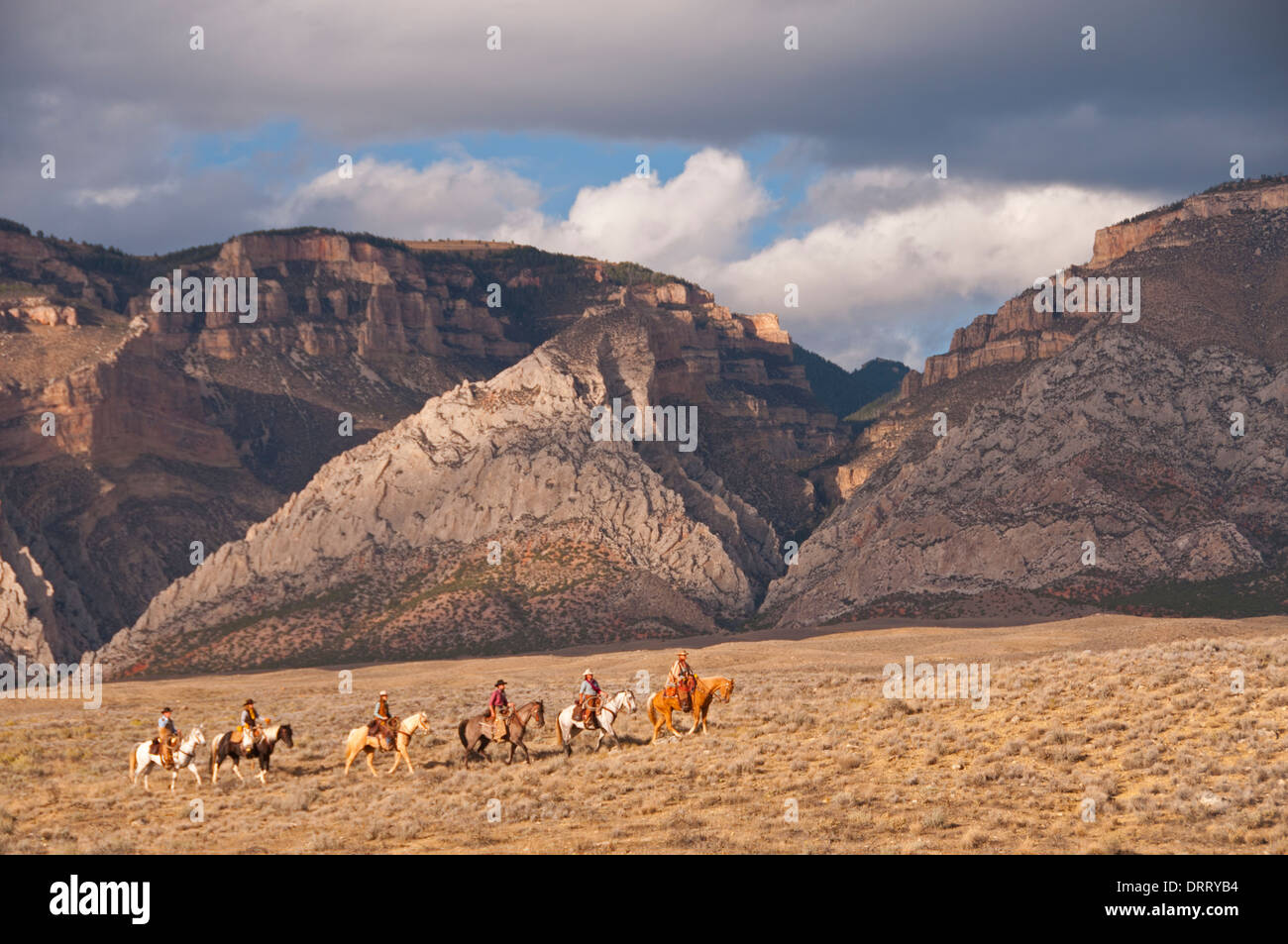 Sei cowboy e cowgirls a cavallo nel Wyoming il Bighorn Mountains Foto Stock