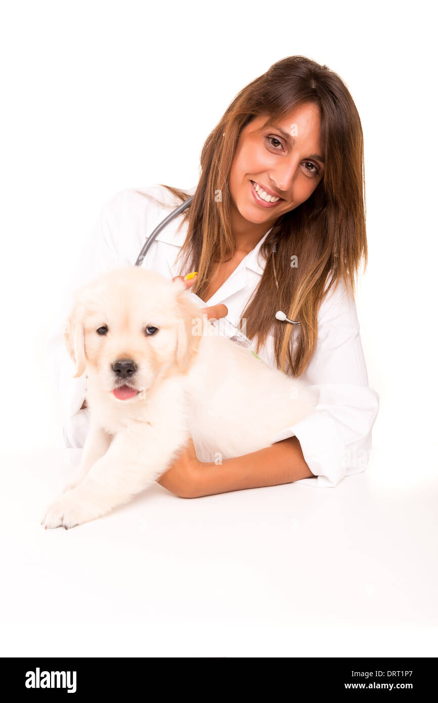 Un bel veterinario con un golden retriever cucciolo Foto Stock