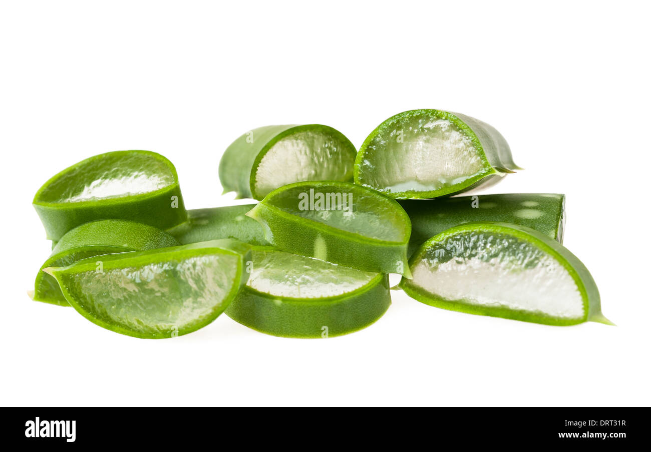 Aloe vera isolato su bianco Foto Stock