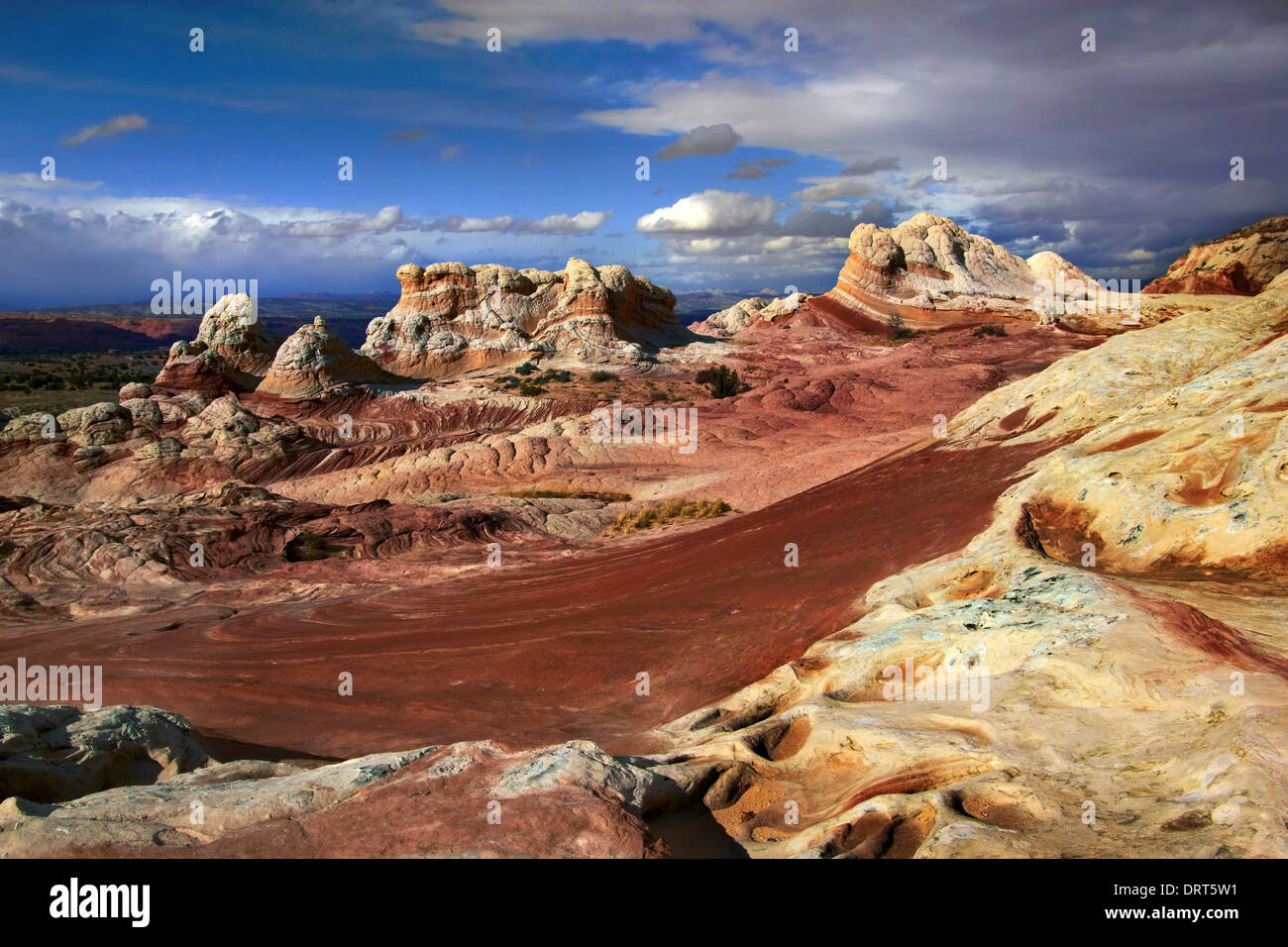 Una vista della tasca di bianco, Vermillion Cliffs National Monument, Arizona, Stati Uniti d'America Foto Stock