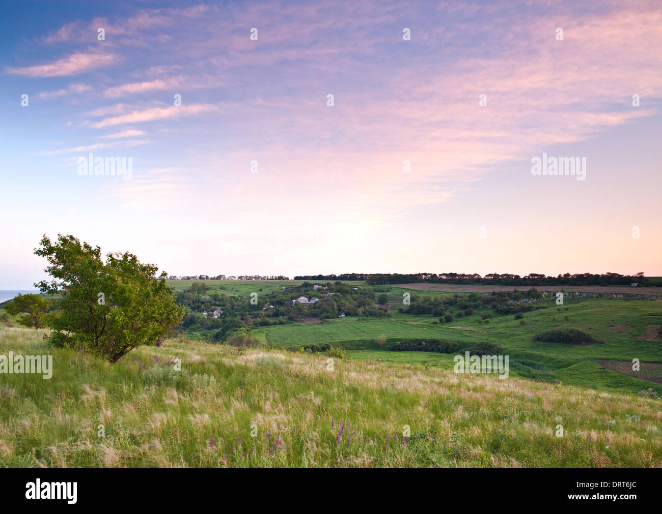 Paesaggio rurale scena Foto Stock