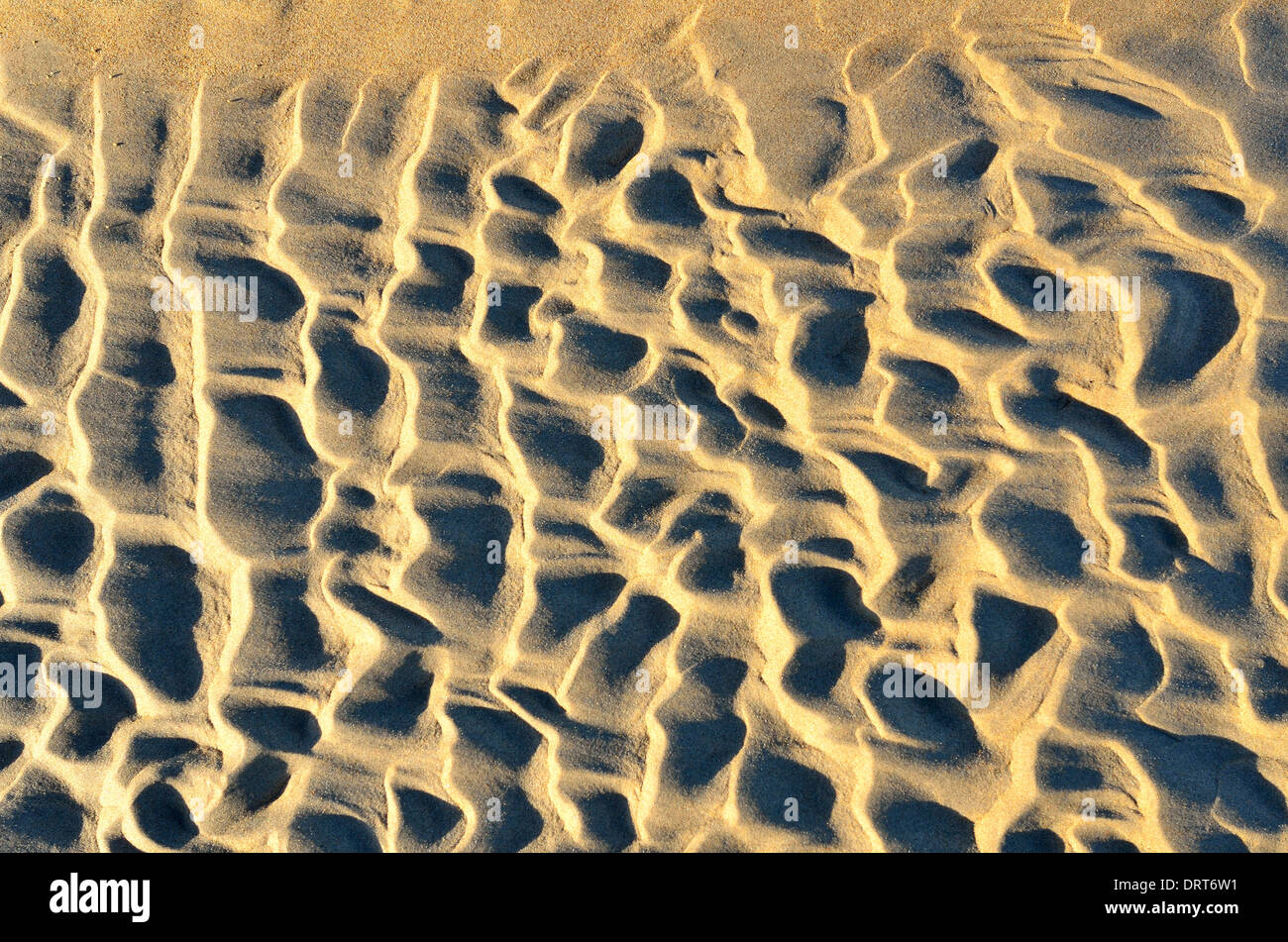 Texture di sfondo di sabbia sulla spiaggia in inverno il sole Foto Stock