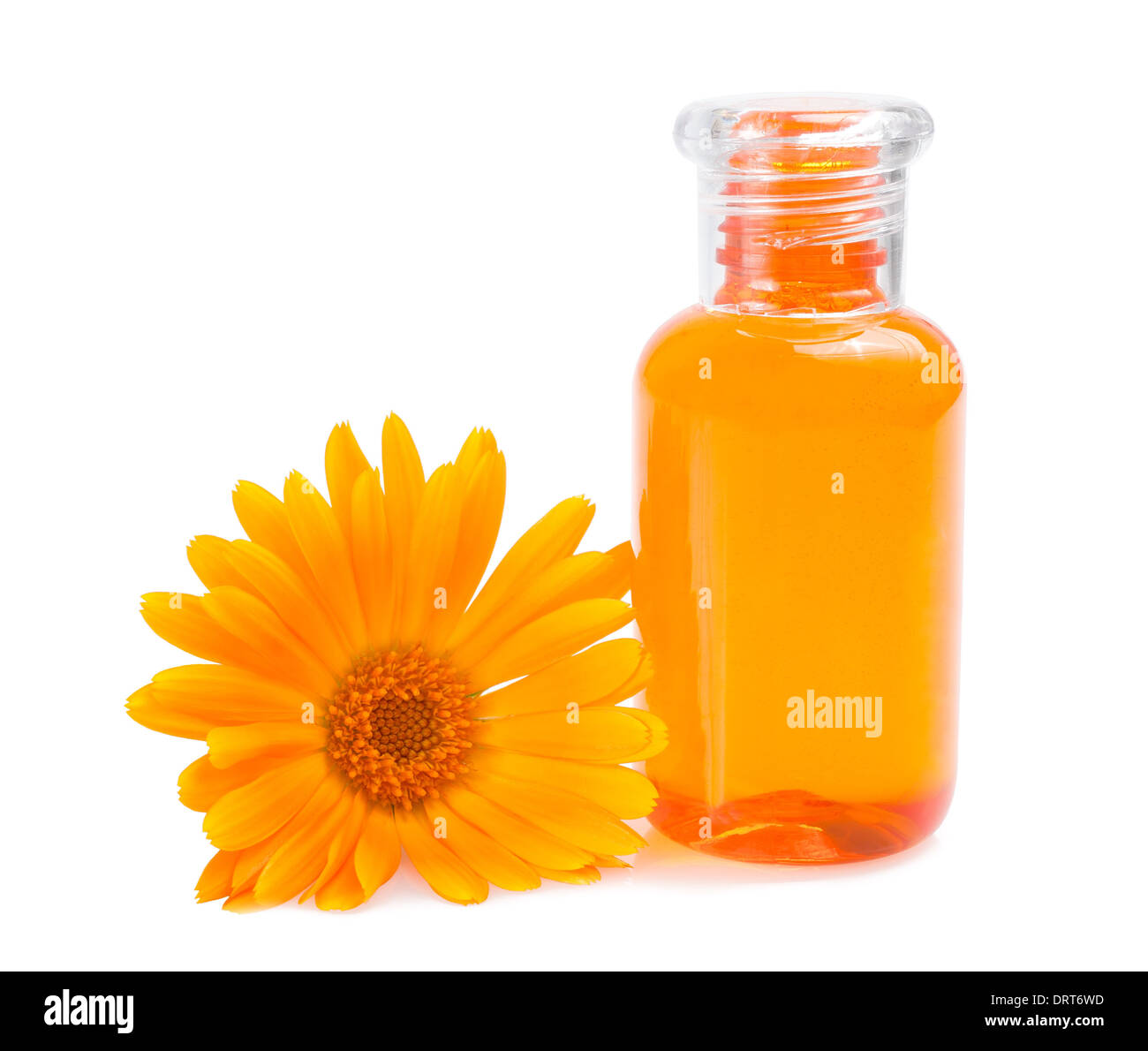 Sapone alla calendula e fiore isolato su bianco Foto Stock