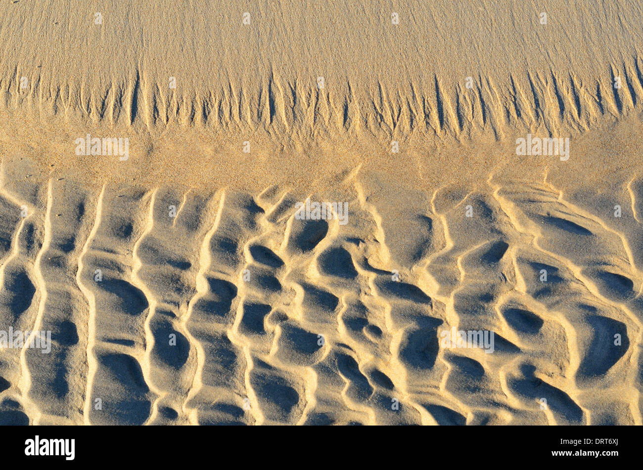Texture di sfondo di sabbia sulla spiaggia in inverno il sole Foto Stock