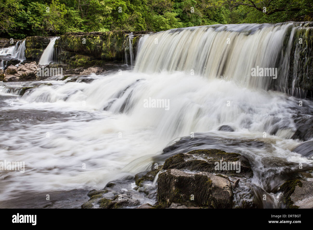Aysgarth cade sul Fiume Ure in Wensleydale, Inghilterra Foto Stock