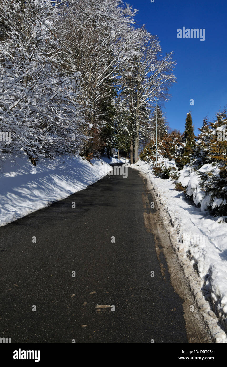 Cancellato montagna innevata road, Barboleuse, Villars sur Ollon, Svizzera, Europa Foto Stock
