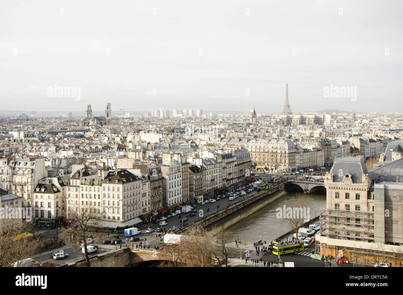 Skyscape di edifici Parigini, con Senna davanti e torre eiffel nel retro, Parigi, Francia. Foto Stock