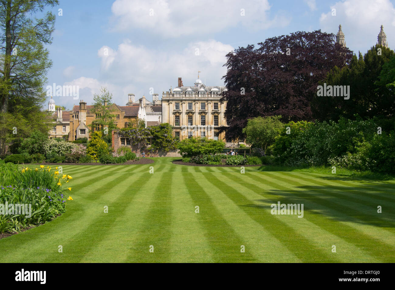 Vista verso la Clare College di Cambridge, Inghilterra Foto Stock