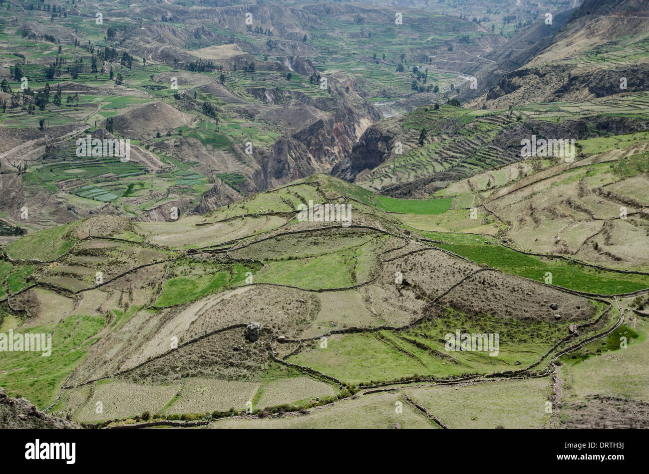 Valle di Colca. montagne andine. arequipa Perù. Foto Stock