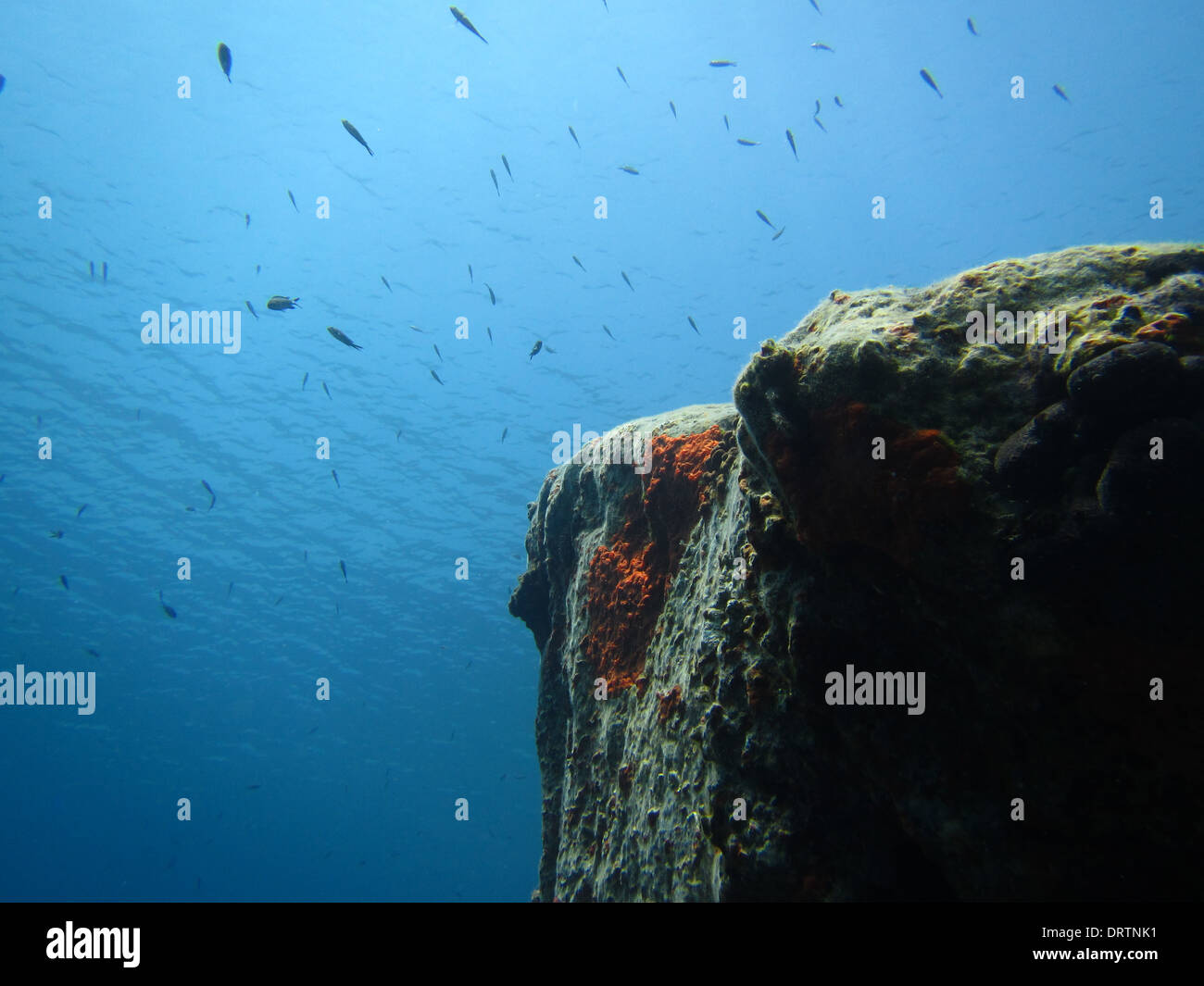 Paesaggio subacqueo nelle splendide acque del mar Egeo Foto Stock