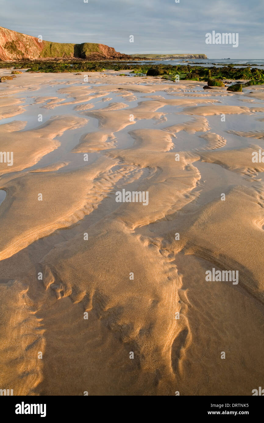 Ripples realizzato dalla ritirata di marea sono definite dalla bassa luce del sole al tramonto a Freshwater West Beach, Pembrokeshire. Foto Stock