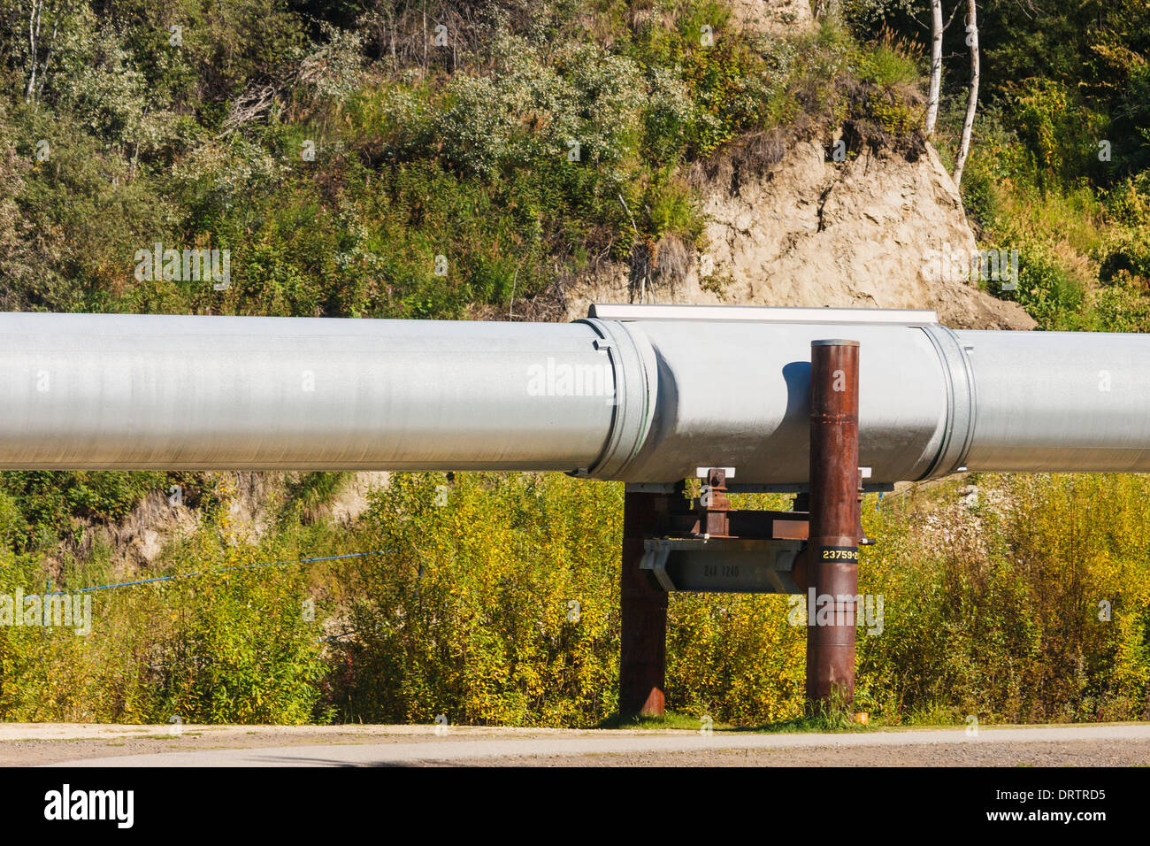 Alaska Pipeline vicino a Fairbanks Alaska. Foto Stock