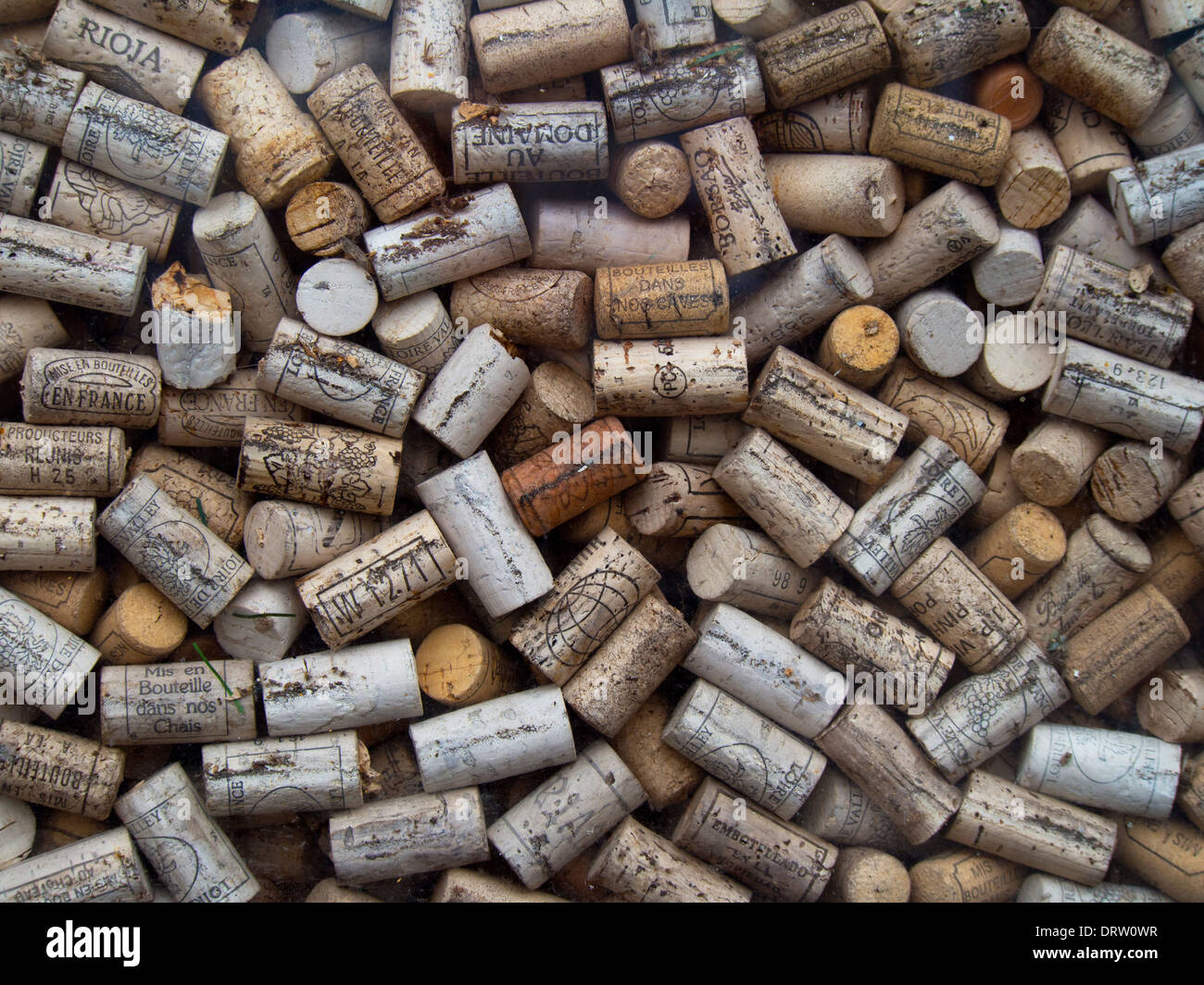 Scartato bottiglia per vino tappi in un wine bar finestra costituiscono un interessante matrice di nomi e varietà. Foto Stock