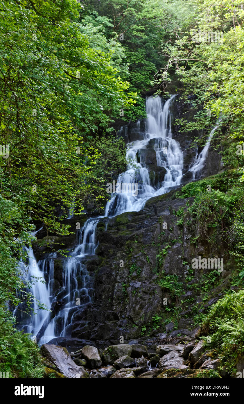 Cascata Torc nel Parco Nazionale di Killarney sull'anello di Kerry, la Contea di Kerry, Irlanda Foto Stock