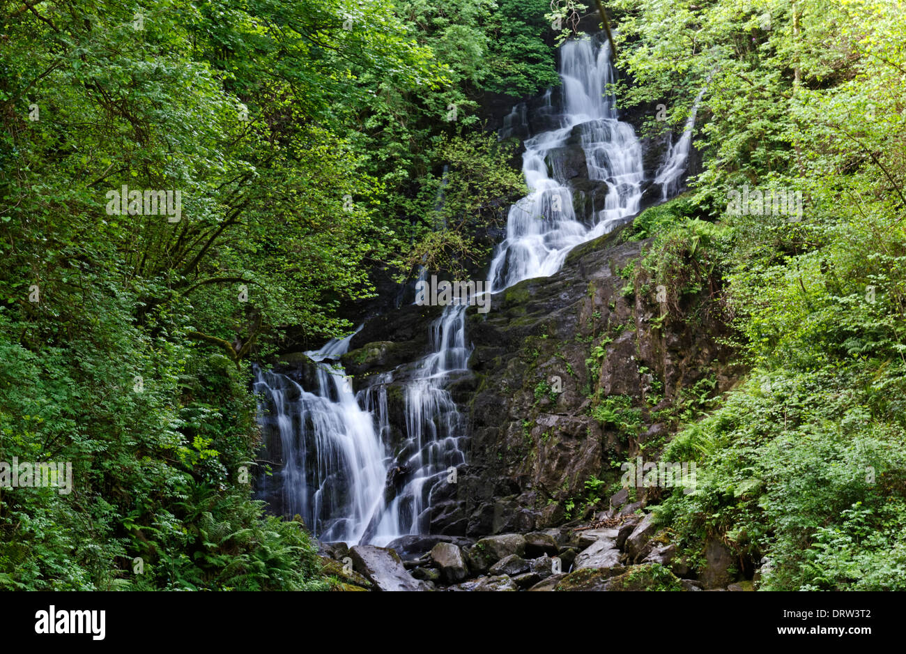 Cascata Torc nel Parco Nazionale di Killarney sull'anello di Kerry, la Contea di Kerry, Irlanda Foto Stock