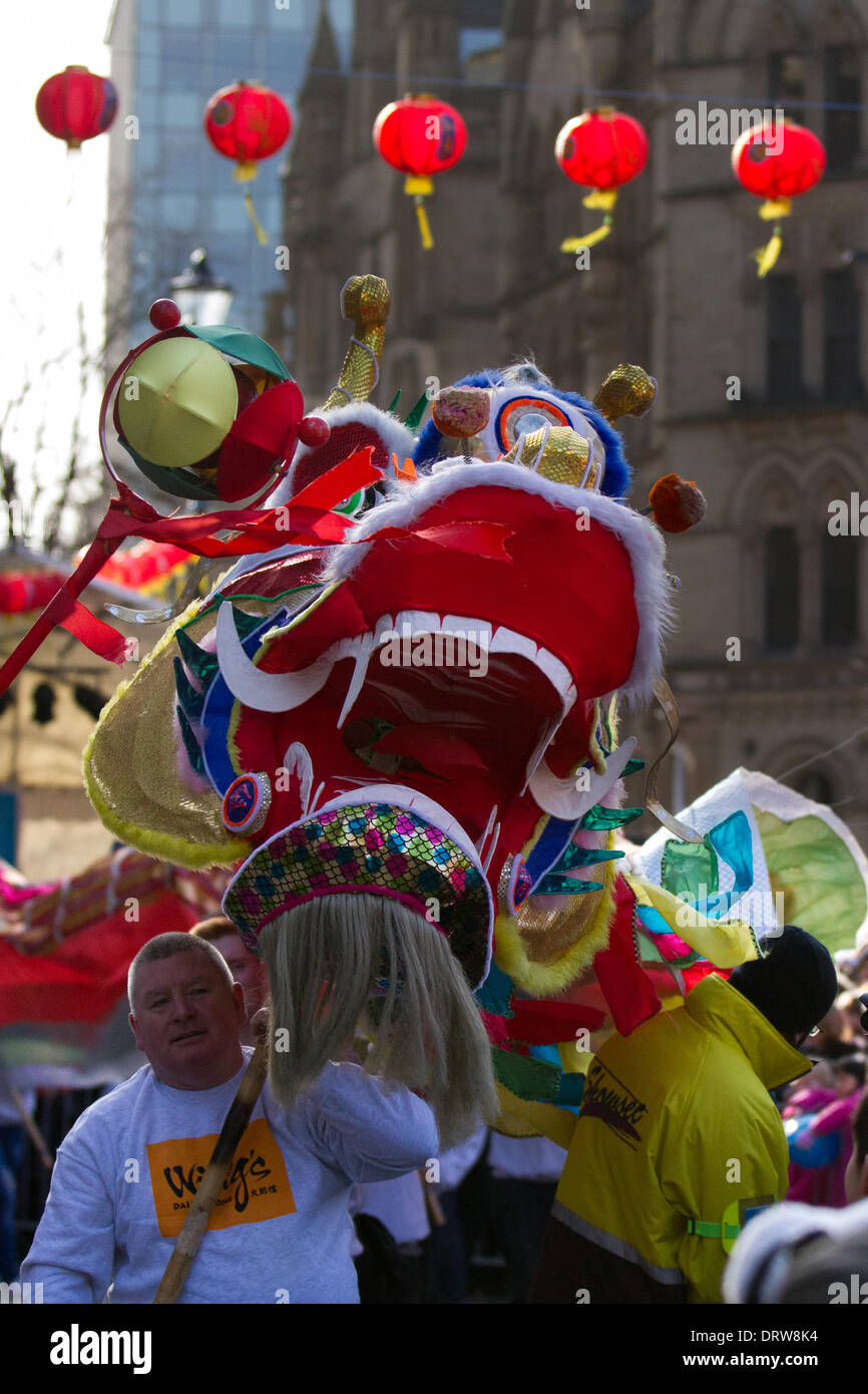 Manchester, Chinatown 2 Febbraio, 2104. Palo Alto la danza del Leone al cinese Capodanno in piazza Albert, Manchester Il nord è più grande Capodanno cinese. Manchester Chinatown è uno del più grande d'Europa incastonato in una stretta griglia di strade dietro Piccadilly Gardens. Con un 175-piede drago di carta, un Leone danza, arti marziali dimostrazioni, il Drago Parade, dal Municipio di Chinatown, è uno dei punti forti di Manchester annuale del calendario degli eventi. Foto Stock