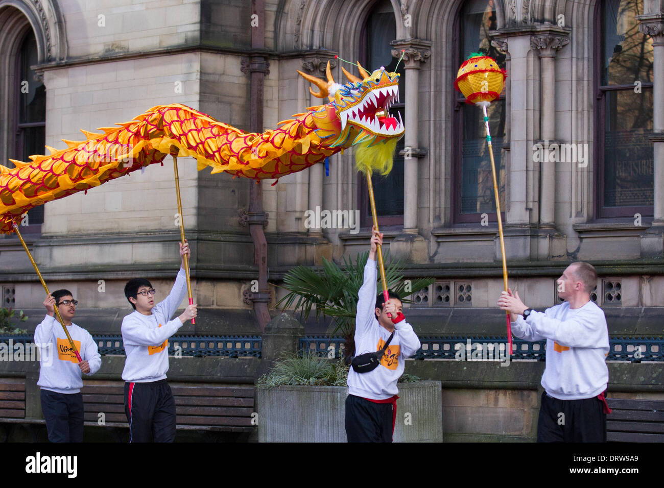 Costume cinese zodiaco animali. Tradizionale festival di danza del drago di Capodanno dorato a Chinatown Manchester, febbraio 2104. Danza del drago High-pole al Capodanno cinese ad Albert Square, Manchester, il più grande festeggiamenti del nuovo anno cinese del Nord. La Chinatown di Manchester è una delle più grandi d'Europa nascosta in una stretta griglia di strade dietro i Piccadilly Gardens. Con un drago di carta dorata di 175 piedi, una danza del leone, dimostrazioni di arti marziali, la Dragon Parade, dal Municipio a Chinatown, è uno dei momenti salienti del calendario annuale degli eventi di Manchester. Foto Stock