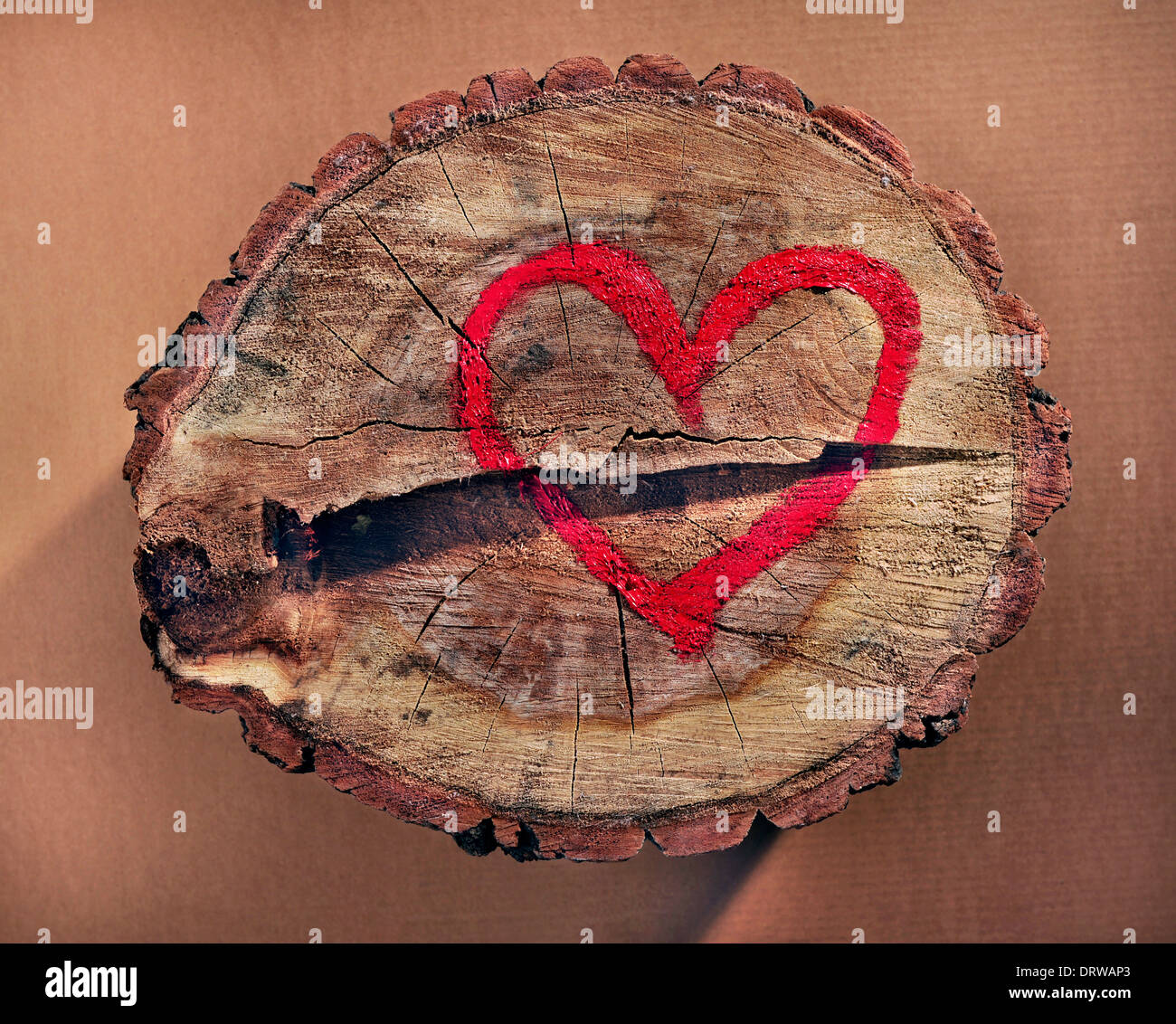 Amore e salvare la natura, cuore rosso disegnato su un tronco di albero. Contribuire a proteggere la natura, stop deforestations. Foto Stock
