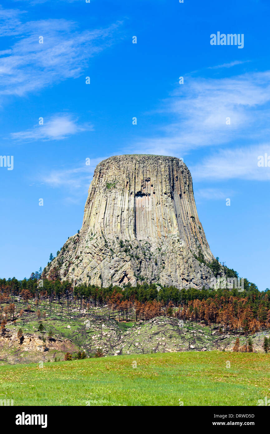 Devils Tower National Monument, Crook County, Black Hills, Wyoming USA Foto Stock