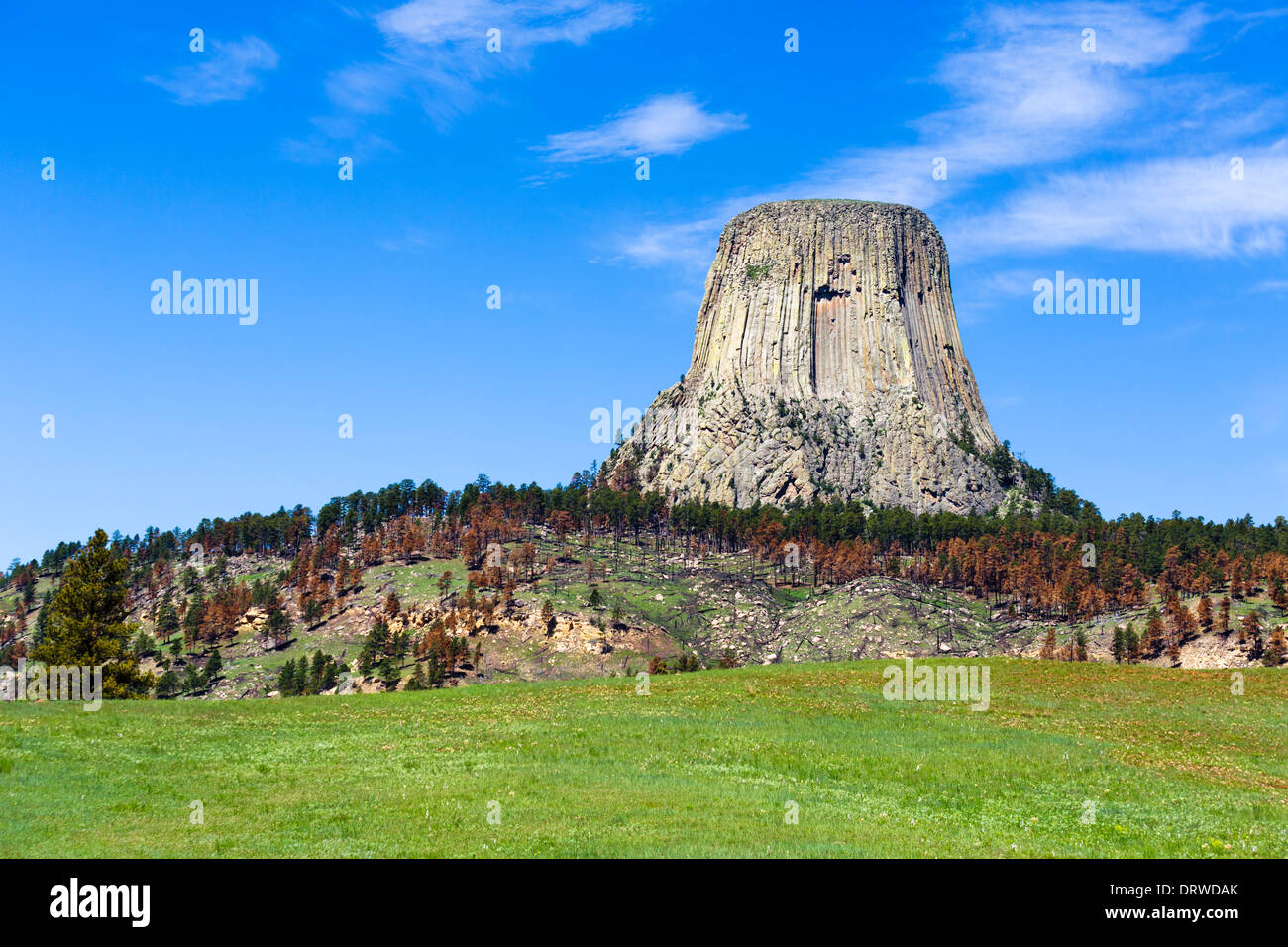 Devils Tower National Monument, Crook County, Black Hills, Wyoming USA Foto Stock