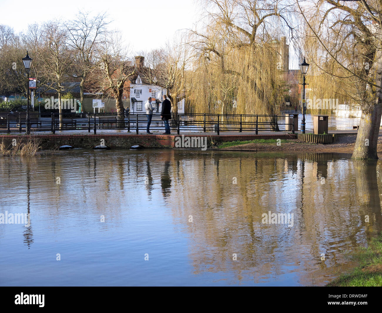 Guildford, Surrey, Regno Unito. 2° febbraio 2014. Le inondazioni del fiume Wey a Guildford, Surrey. Ultimi pioggia pesante caduta sul terreno saturo ha comportato ulteriori inondazioni per la regione. Credito: James jagger/Alamy Live News Foto Stock