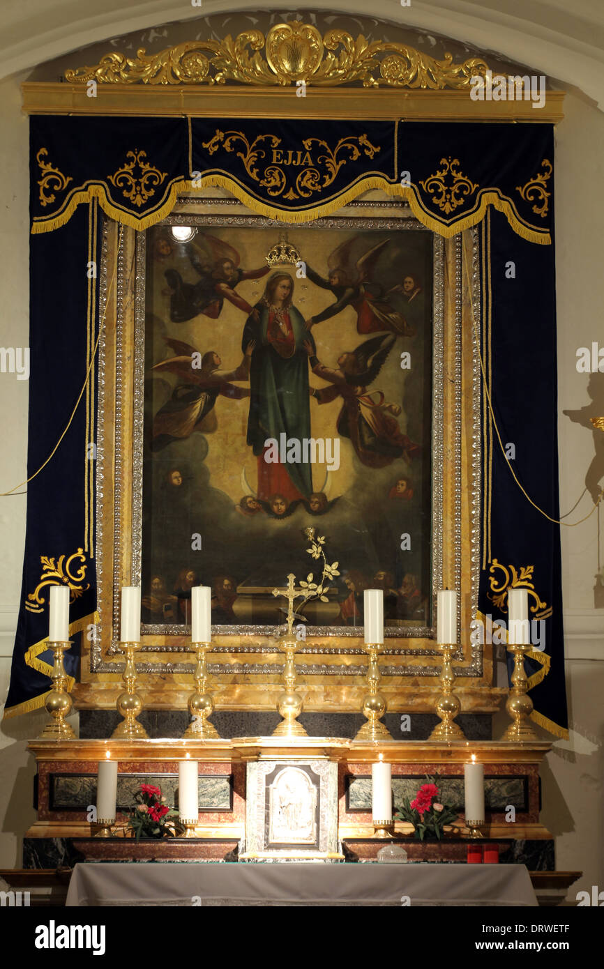 La pittura di Nostra Signora di Ta' Pinu alla Messa Papale GHARB GOZO MALTA 03 Dicembre 2013 Foto Stock