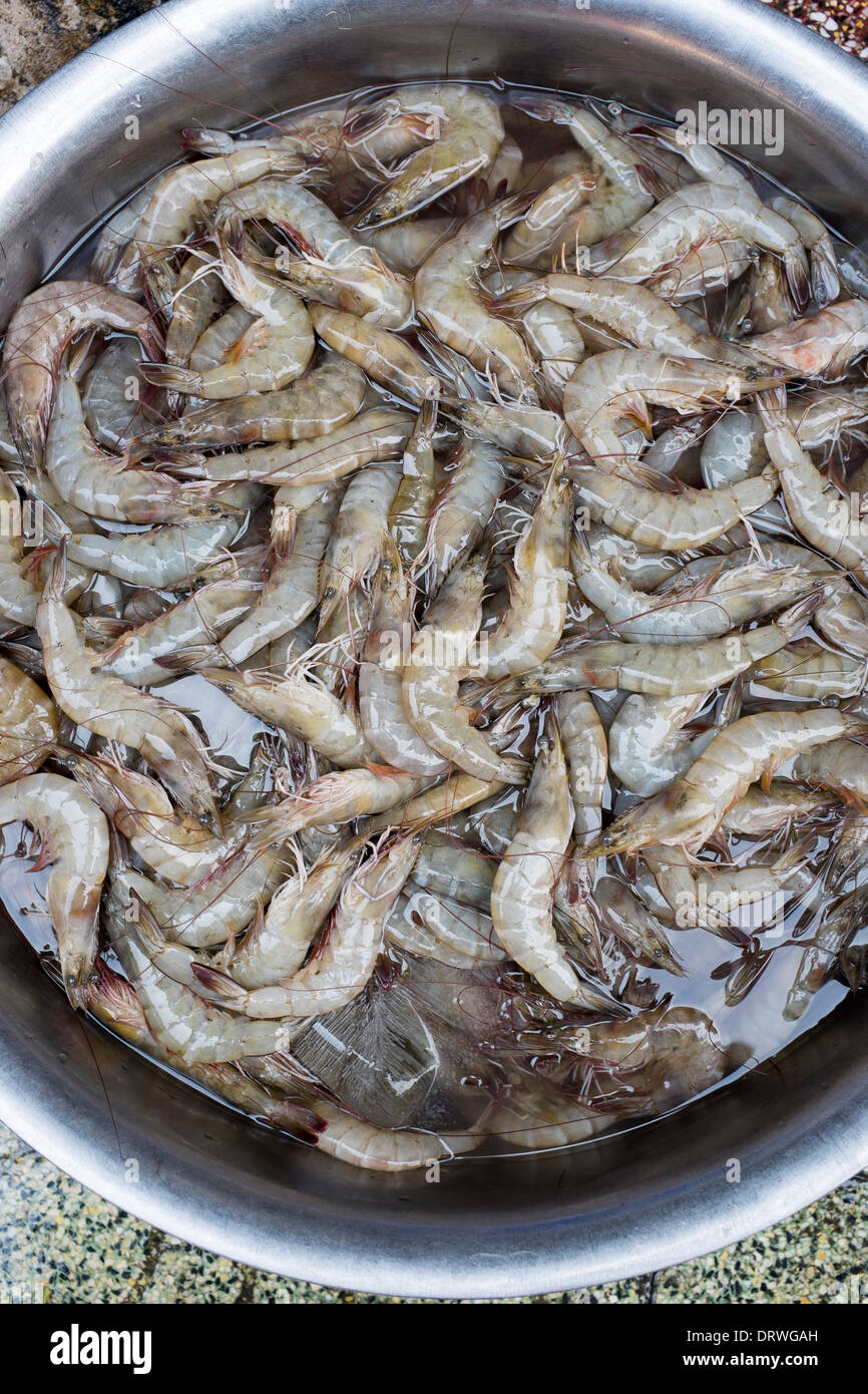 Materie gamberoni in vendita a Cho il Mercato Ben Thanh Città di Ho Chi Minh Foto Stock