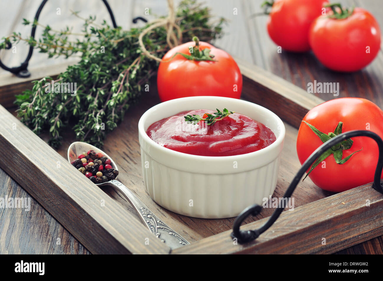 Salsa di pomodoro in una ciotola con il pomodoro fresco su un vassoio in legno Foto Stock