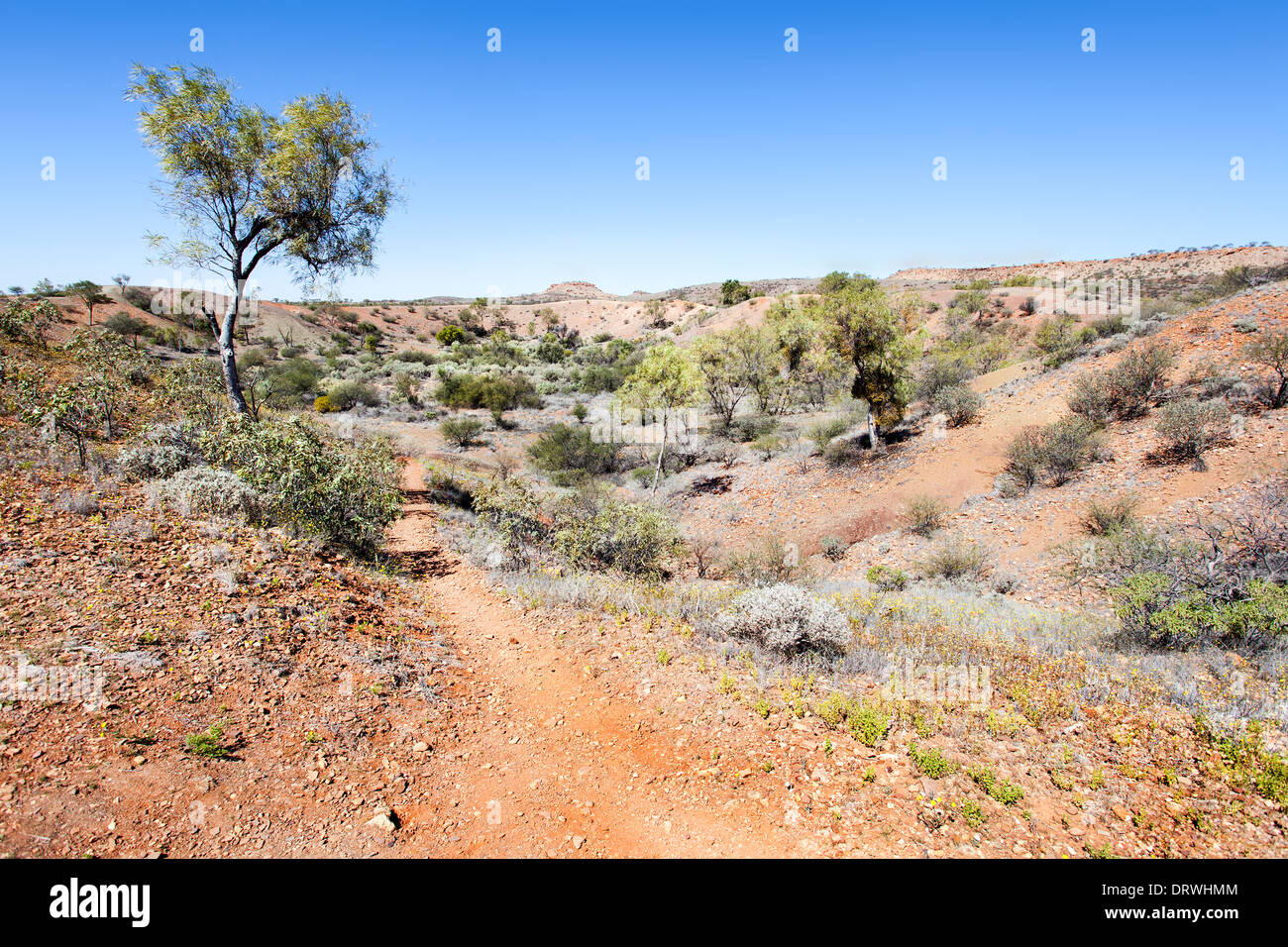 Meteor Crater in Australia centrale vicino a alice springsHenbury è uno dei cinque meteorite impatto siti in Australia campo del cratere Foto Stock