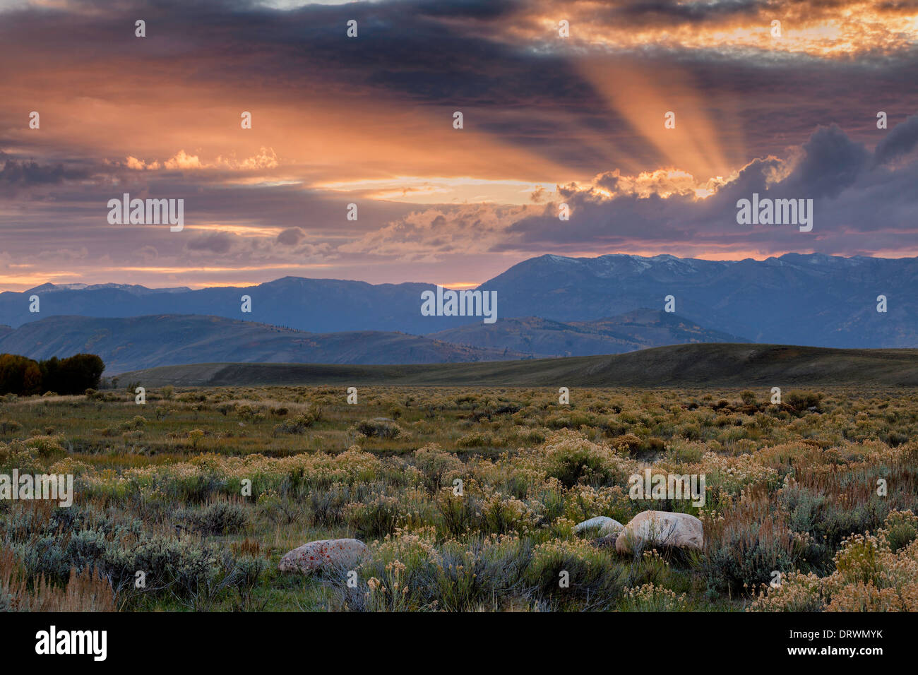 High Desert fasci di luce Foto Stock