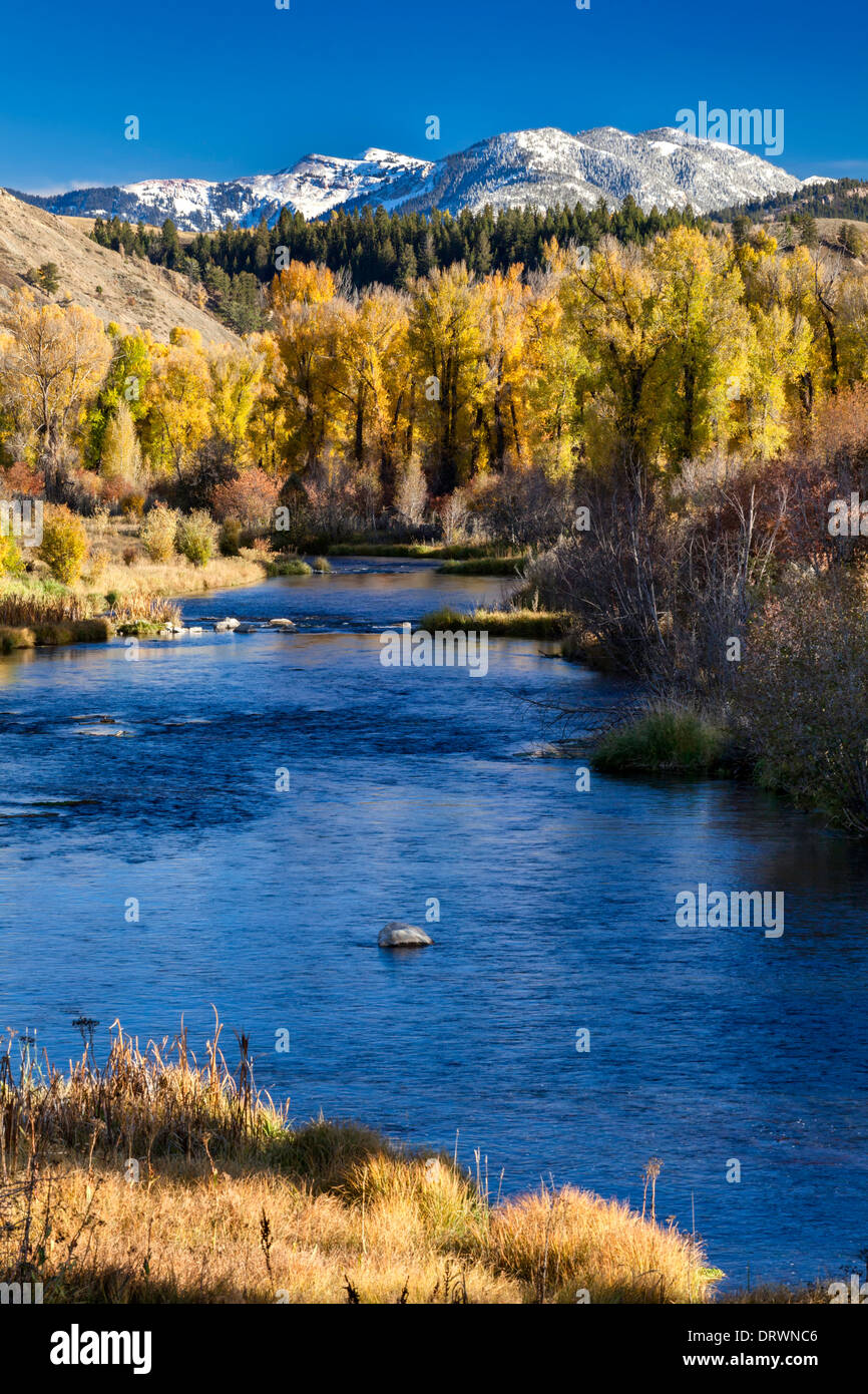 Fiume con i colori dell'autunno Foto Stock