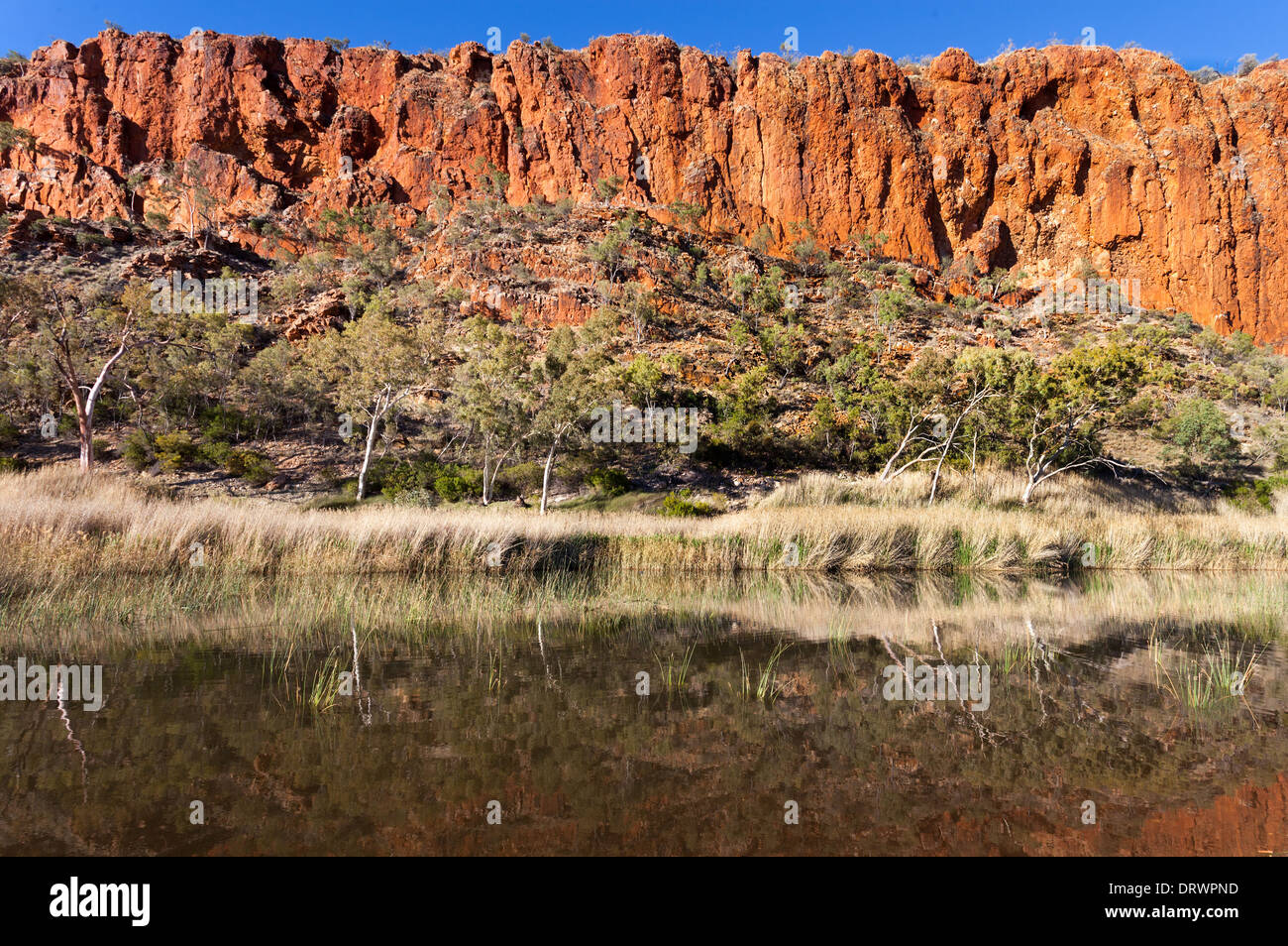 Glen Helen Waterhole Australia centrale vicino a Alice Springs nel West Macdonnel varia Foto Stock