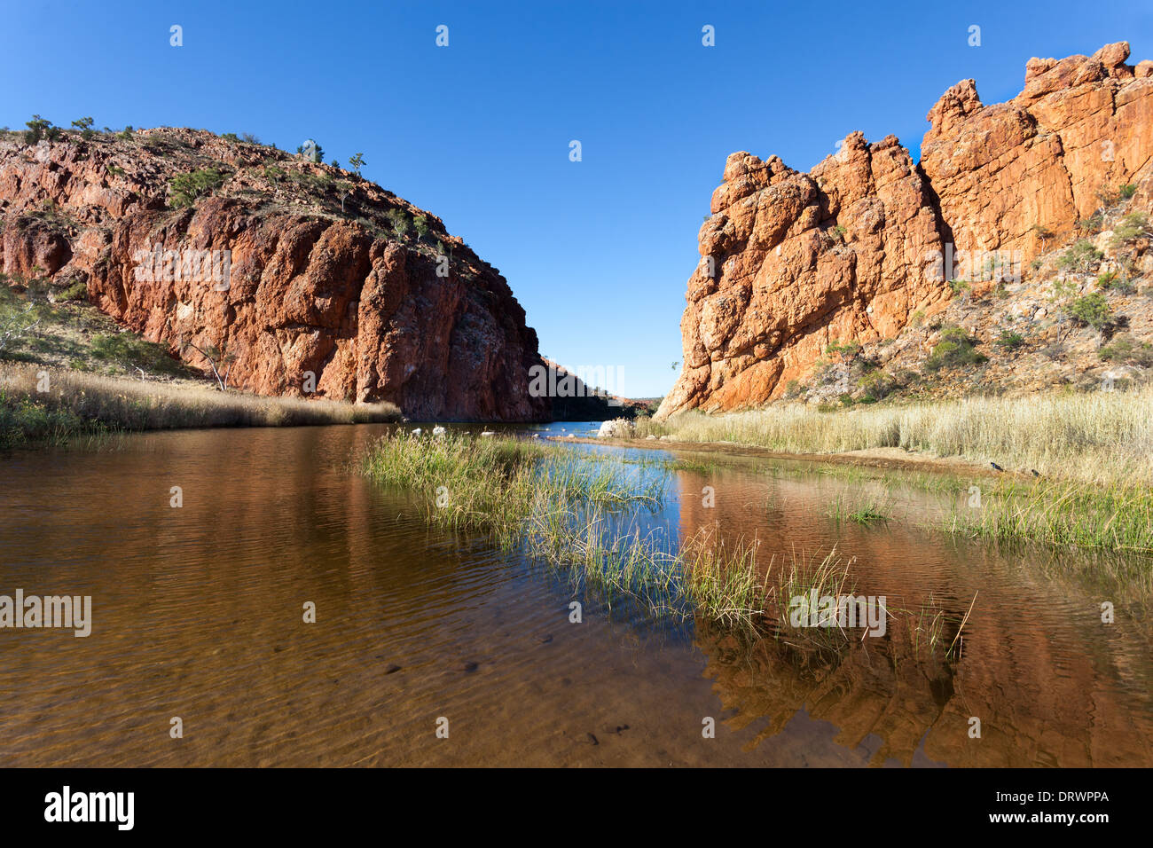 Glen Helen Waterhole Australia centrale vicino a Alice Springs nel West Macdonnel varia Foto Stock