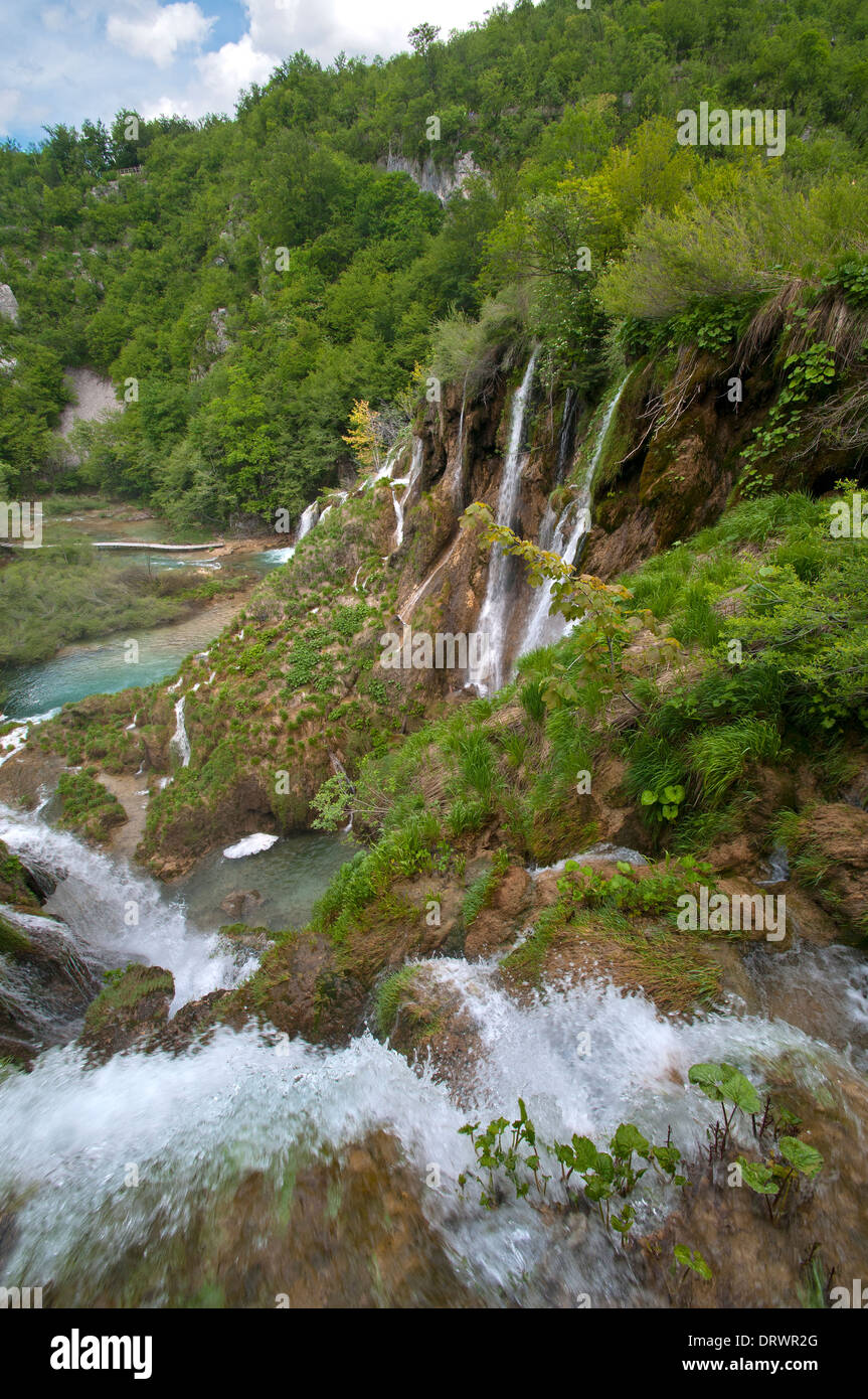 I Laghi di Plitvice, Cascata, Foresta, Parco Nazionale, Croazia Foto Stock