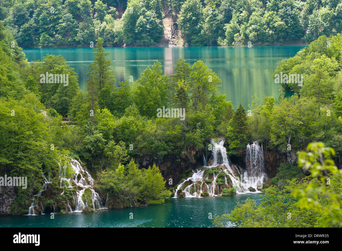 I Laghi di Plitvice, Cascata, Foresta, Parco Nazionale, Croazia Foto Stock
