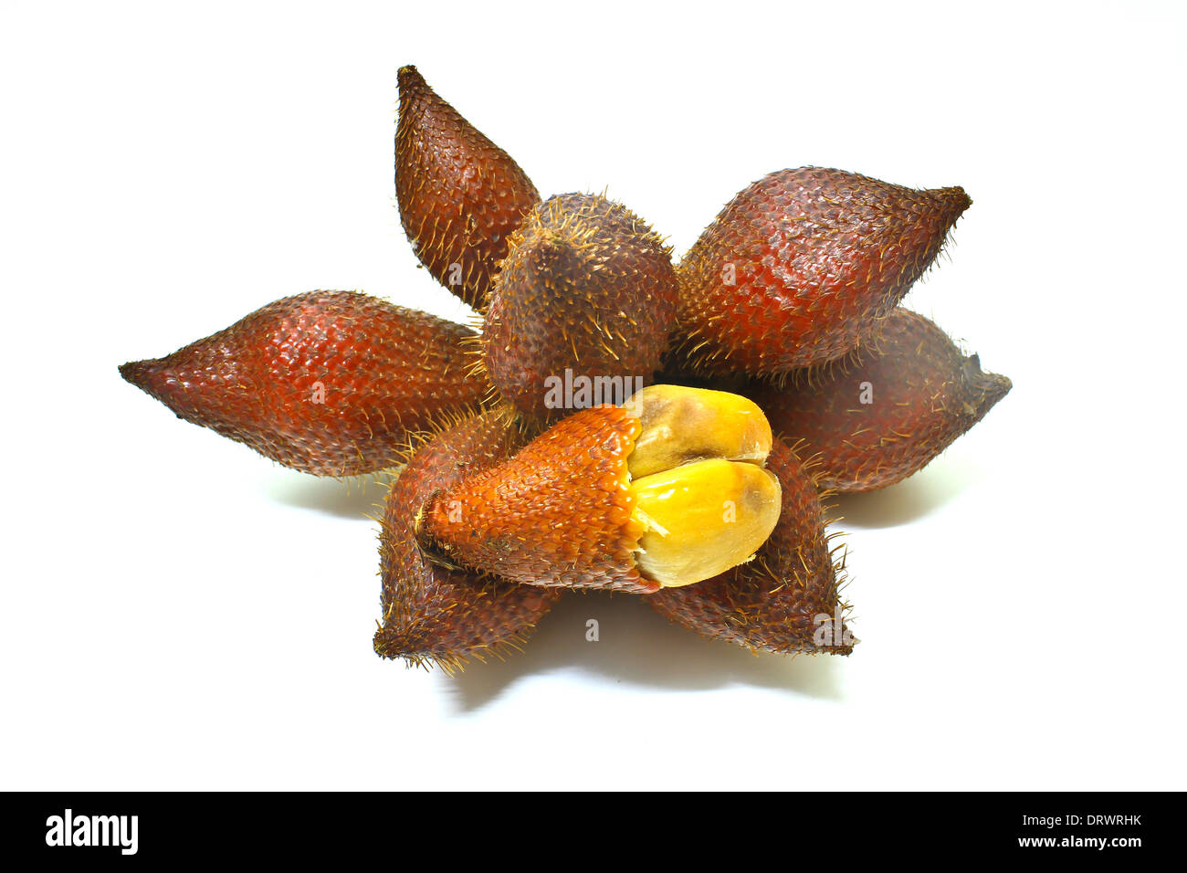 Zalacca o salak frutto, tradizionale stagionale frutta dolci sapori della Thailandia Foto Stock