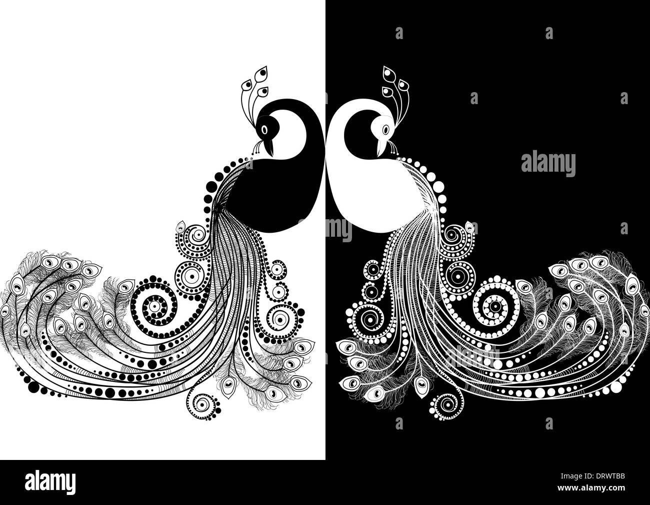 Scheda con abstract bellissimi pavoni in bianco e nero Foto Stock